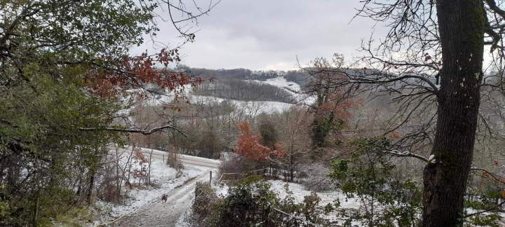 Sentier équestre en hiver Lot-et-Garonne
