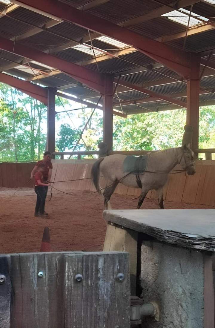 Cours d'équitation pour enfant Lot-et-Garonne