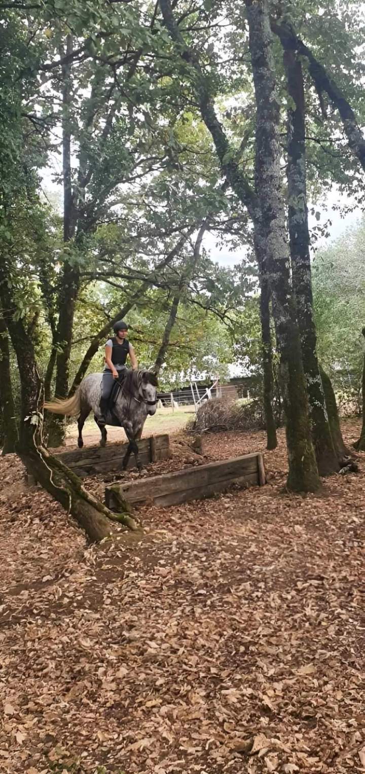 Cavalier Lot-et-Garonne
