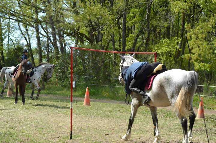 Carrière équitation Lot-et-Garonne 