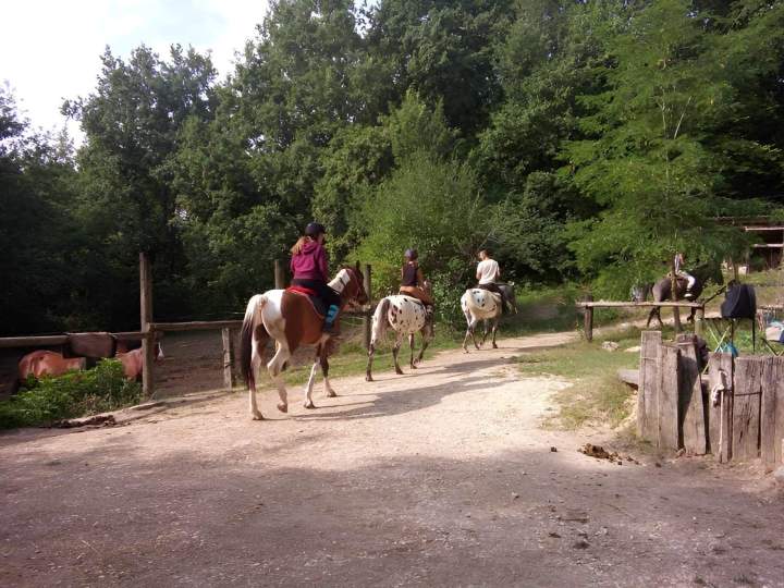 Balade à cheval Lot-et-Garonne