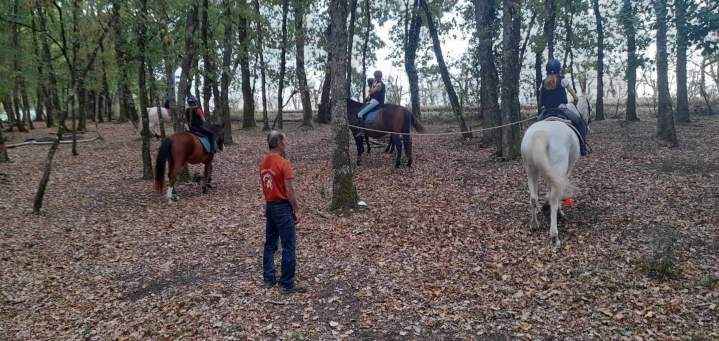 Apprentissage équitation Lot-et-Garonne