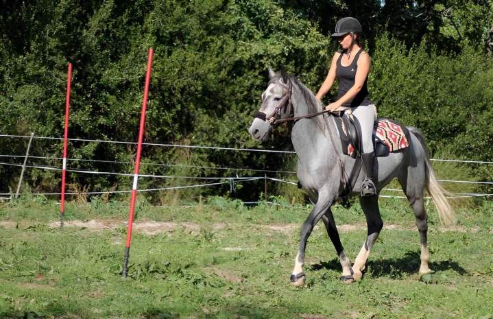 Stage équitation Lot-et-Garonne 