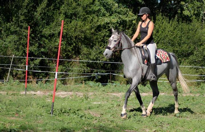 Cours d'équitation Lot-et-Garonne