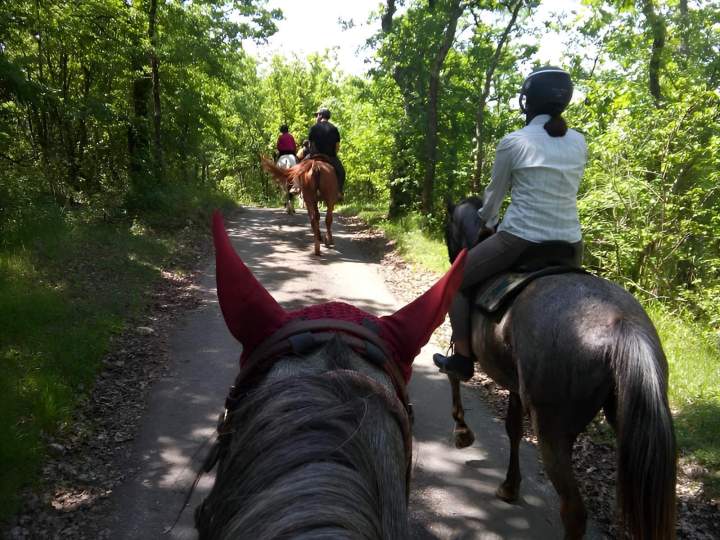Balade à cheval en pleine nature Lot-et-Garonne