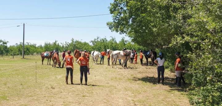 Formation d'équitation Lot-et-Garonne