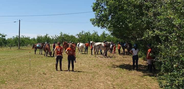 Cours d'équitation Lot-et-Garonne