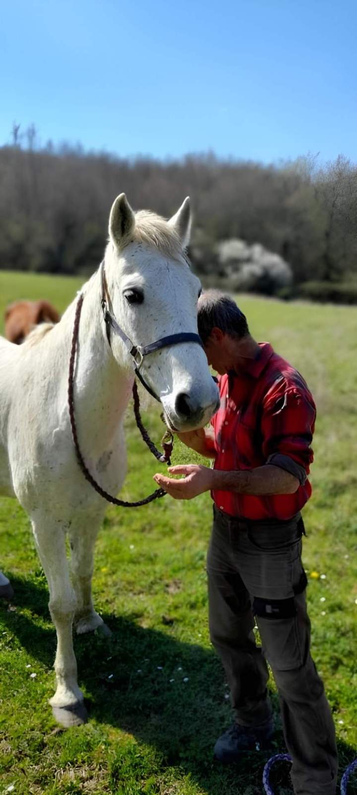 Moniteur d'équitation Lot-et-Garonne