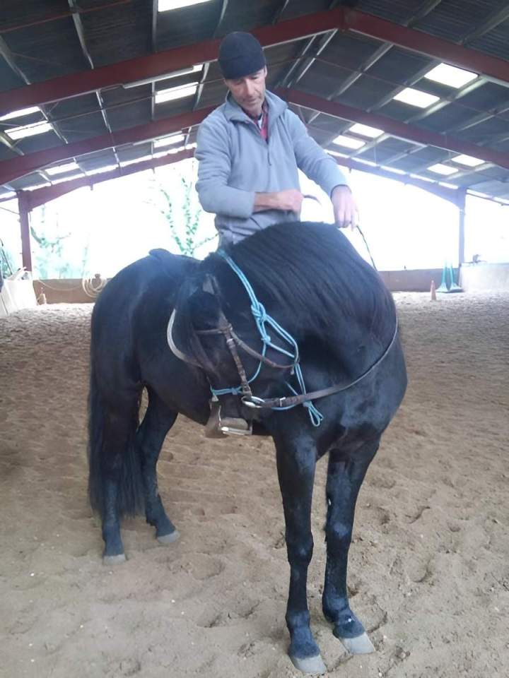 Travail du cheval de loisir Lot-et-Garonne