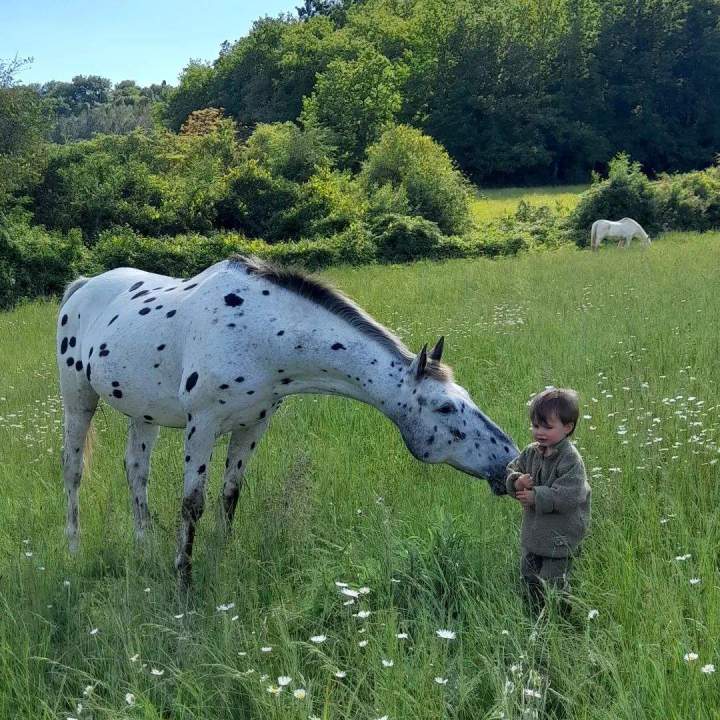 Centre équestre pour enfant Lot-et-Garonne