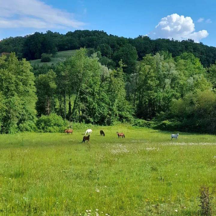 Vaste prairie Lot-et-Garonne