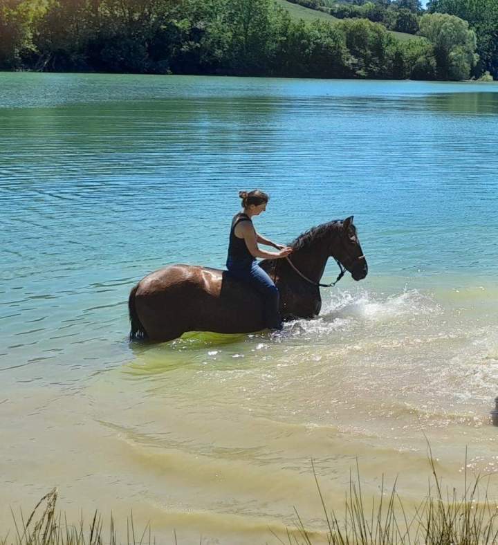 Cavalière en balade Lot-et-Garonne