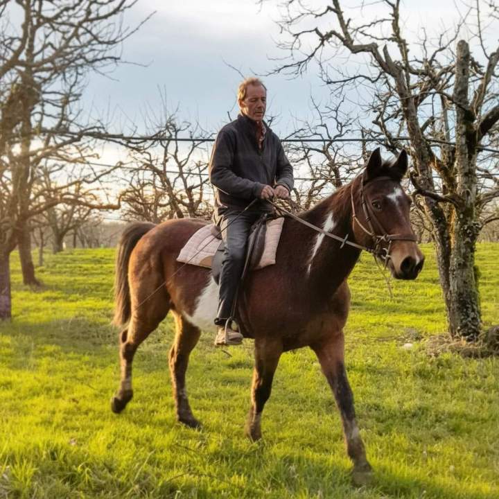 Travail du cheval Lot-et-Garonne