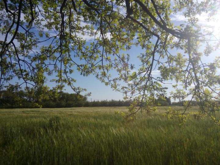 Verdure camping Lot-et-Garonne
