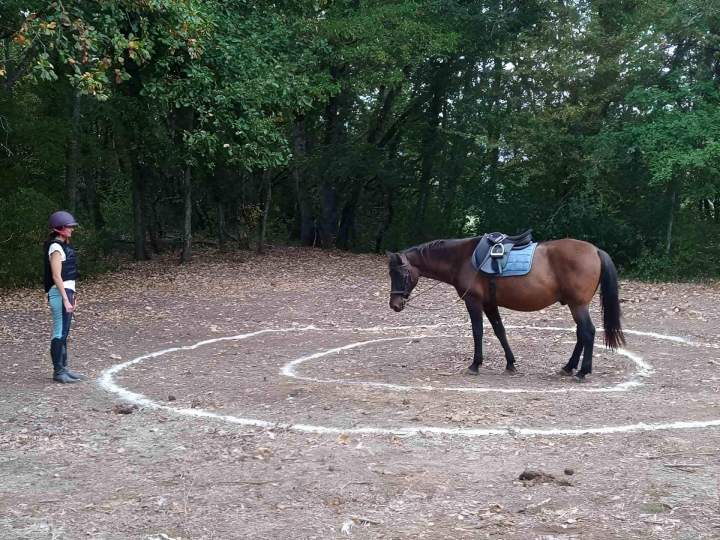 Des cours où chaque cavalier est accompagné
