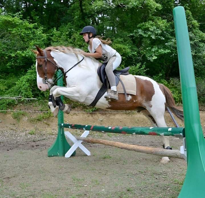 Leçon d'équitation Lot-et-Garonne
