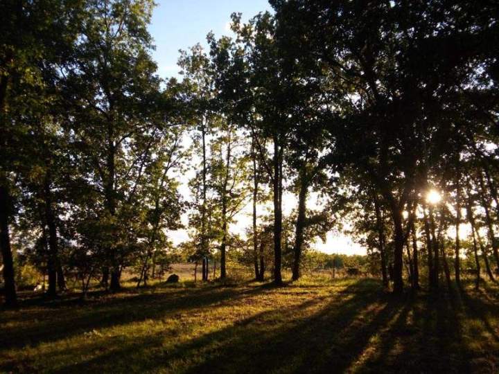 Emplacement camping nature Lot-et-Garonne