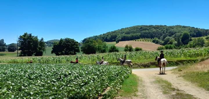 Balade à cheval dans le champs Lot-et-Garonne