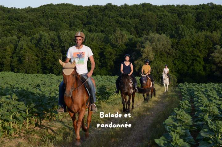 Balade et randonnée