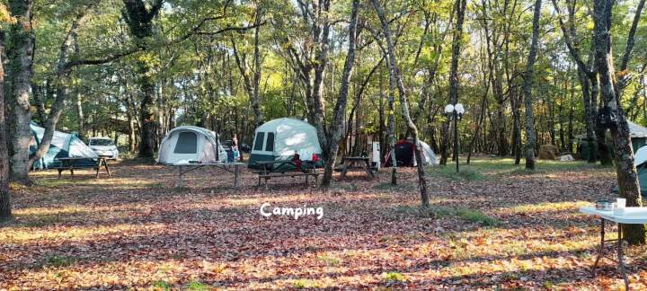 Camping