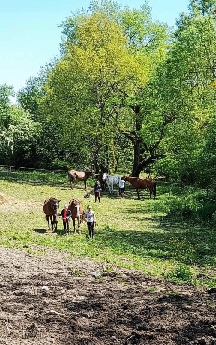 Cours d'équitation pour les plus jeunes Lot-et-Garonne