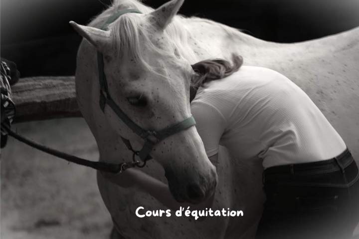 Cours d’équitation