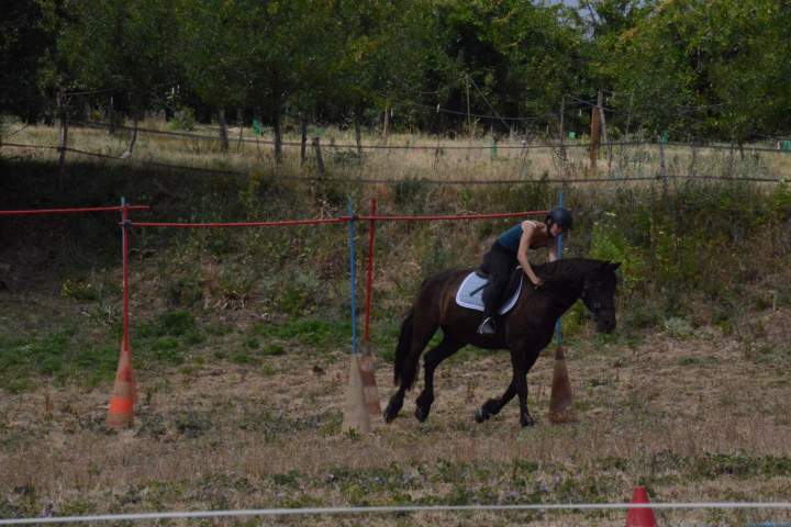 DSC 2701
