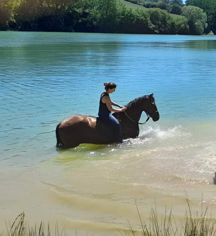 Traversée de la rivière à cheval Lot-et-Garonne