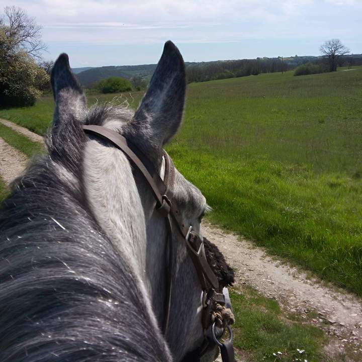 Randonnée à cheval Lot-et-Garonne