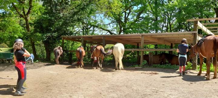 Centre d'équitation Lot-et-Garonne
