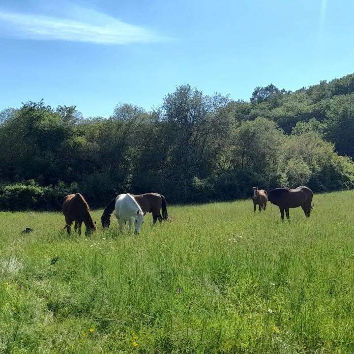 Vaste prairie Lot-et-Garonne