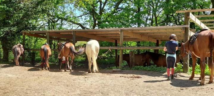 Centre équestre nature Lot-et-Garonne