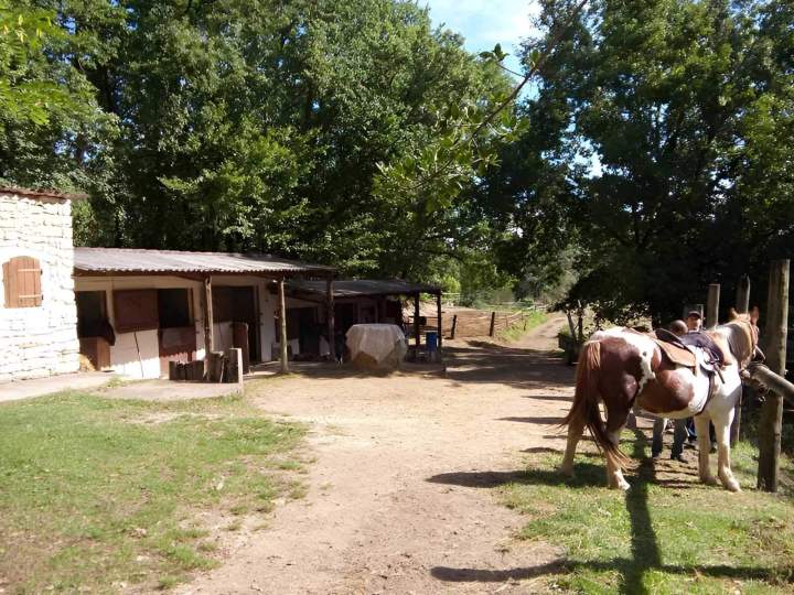 Pension pour chevaux Lot-et-Garonne