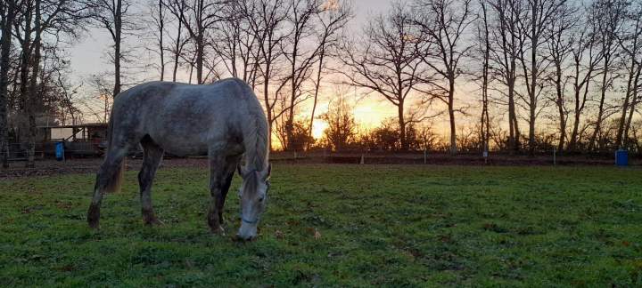 Carrière en herbe Lot-et-Garonne