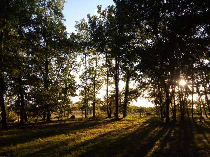 emplacement camping criniere au vent